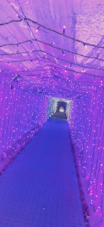 群馬1.png