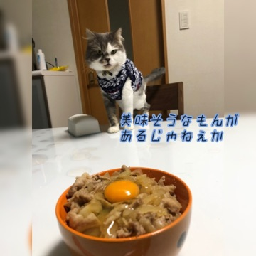 豚丼.png