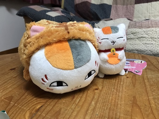 S__15499270.jpg