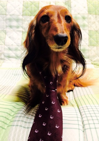 S__2056262.jpg