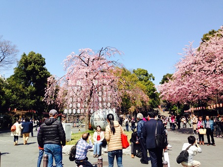 S__2089051.jpg