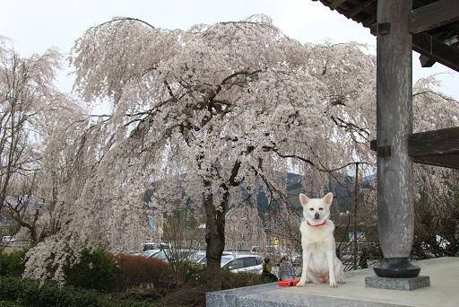 S__2179151.jpg