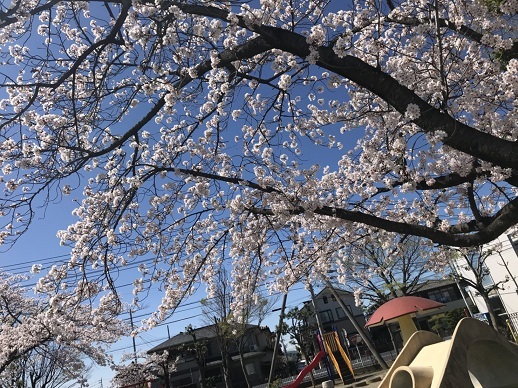 S__31219752.jpg