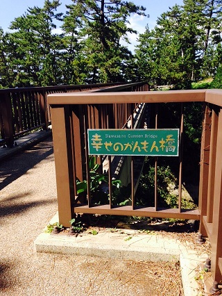 S__3129381.jpg