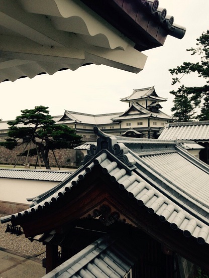 S__3358818.jpg
