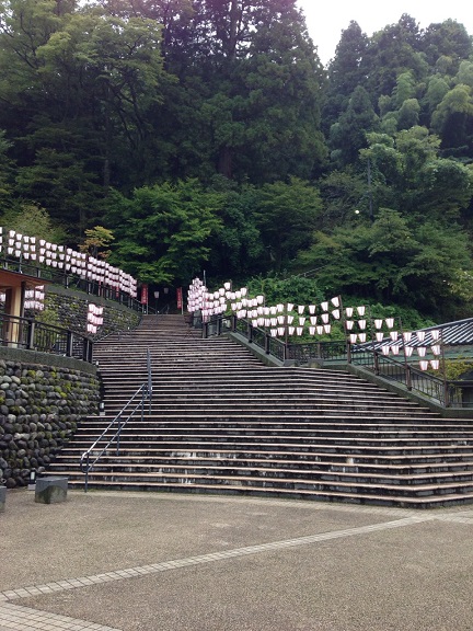 S__3530790.jpg