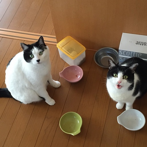 S__4128780.jpg