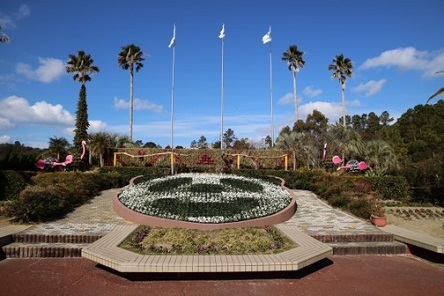 S__72089603.jpg