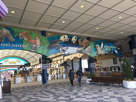 S__72089606.jpg