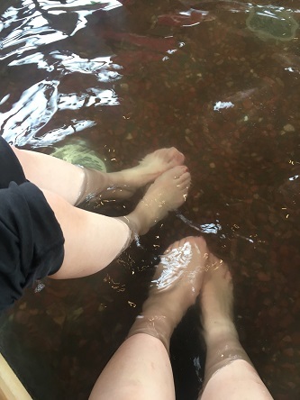 S__79028230.jpg