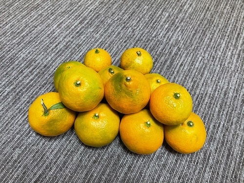 image0 (69).jpeg