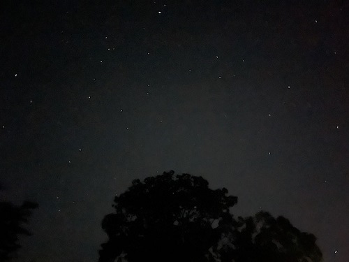 image3 (14).jpeg
