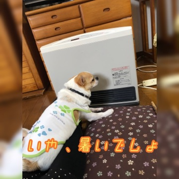 maru.png