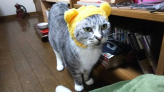 nana.png