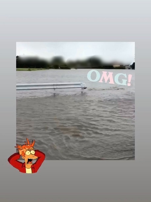 omg.JPG